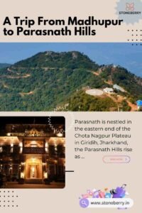 parasnath-hills-stoneberry