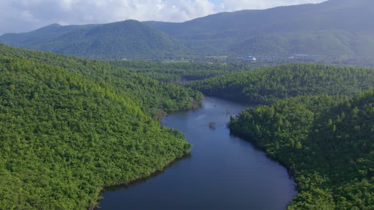 Lush Forest Surroundings - Madhupur
