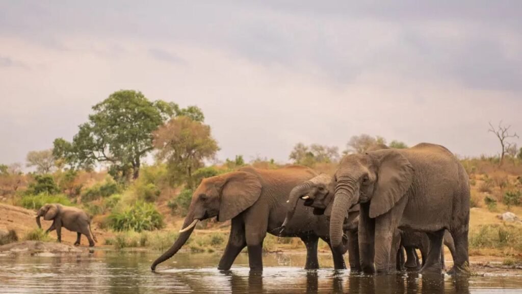 Tourist Places Near Kolkata