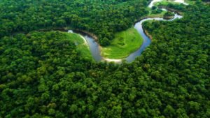 Why Monsoon Is the Best Time to Explore Jharkhand’s Hidden Beauty?